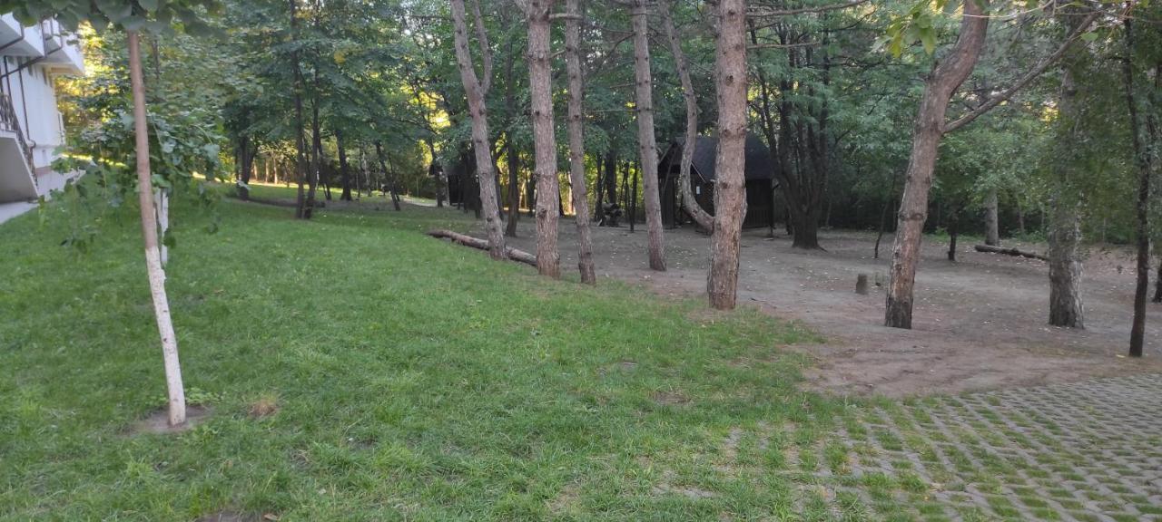 English Breakfast Кишинів Екстер'єр фото